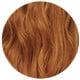 Swatch: Dark Blonde Copper 7C